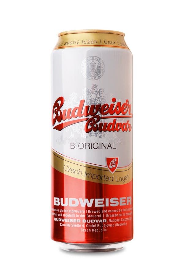 Fût 5L Budweiser Budvar