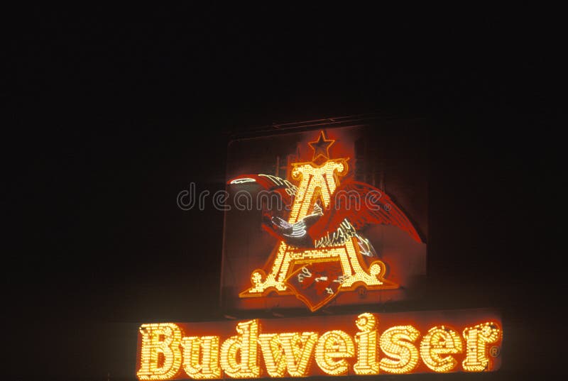 Budweiser neon sign royalty free stock images