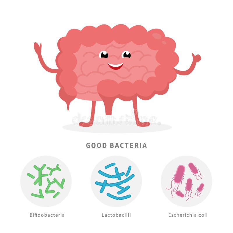 Buen ejemplo del concepto de las bacterias, personaje de dibujos animados sano del intestino aislado en el fondo blanco Microflor libre illustration Buen ejemplo del concepto de las bacterias, personaje de dibujos animados sano del intestino aislado en el fondo blanco Microflor libre illustration