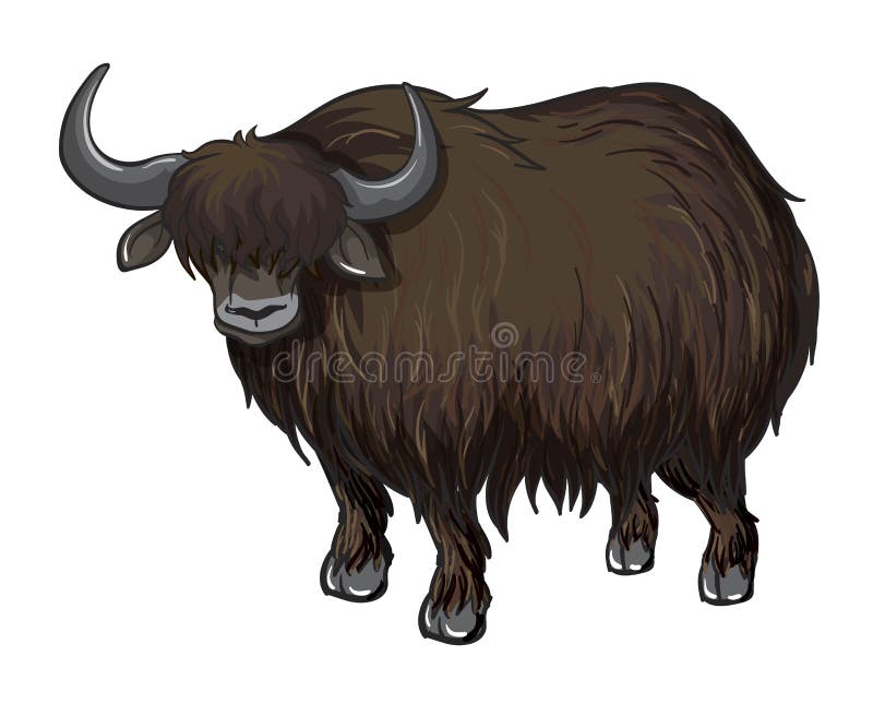 Hairy Buffalo Stock – 81 Hairy Buffalo Illustrations, Vectors & Clipart - Dreamstime