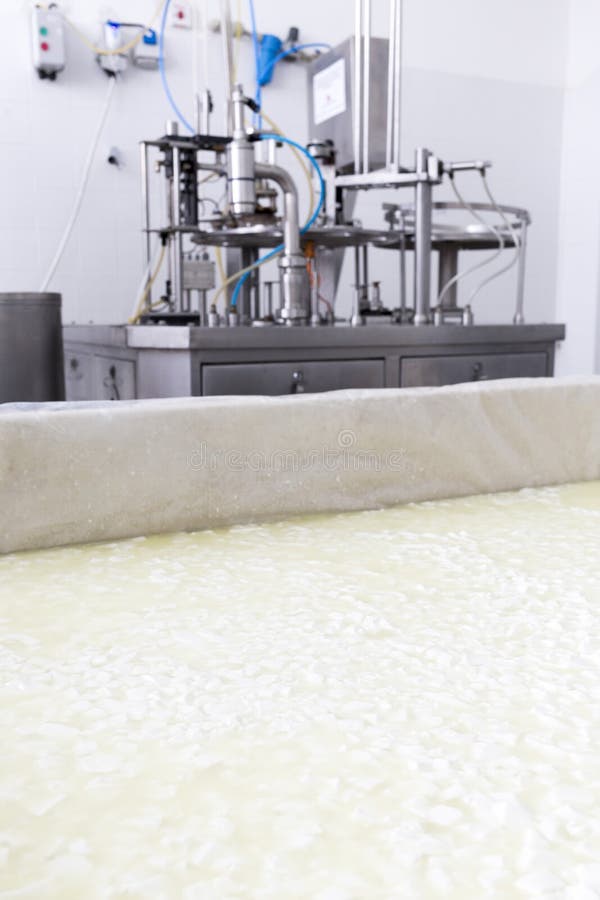 A buffalo cheese batch in a tank in a small family creamery. The dairy farm is specialized in buffalo yoghurt and cheese production. A buffalo cheese batch in a tank in a small family creamery. The dairy farm is specialized in buffalo yoghurt and cheese production.