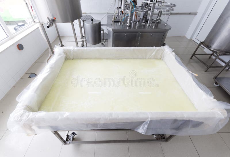 A buffalo cheese batch in a tank in a small family creamery. The dairy farm is specialized in buffalo yoghurt and cheese production. A buffalo cheese batch in a tank in a small family creamery. The dairy farm is specialized in buffalo yoghurt and cheese production.