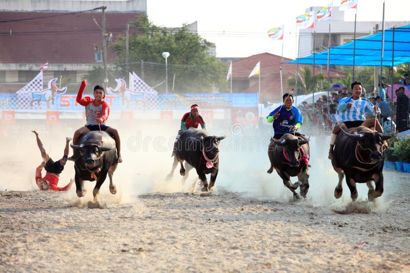 Buffalo race