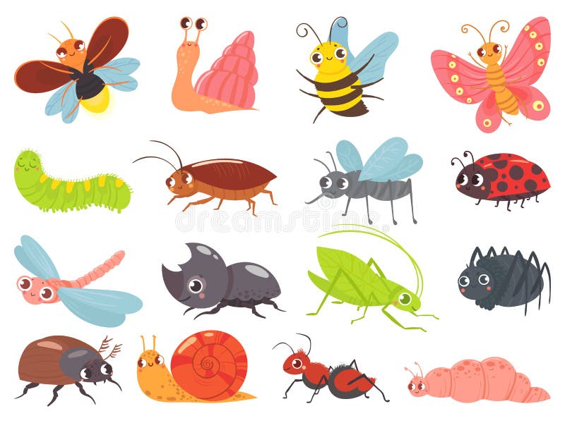 Bugs de dibujos animados insecto bebé, divertido y feliz insecto y adorable juego de vector ladybug