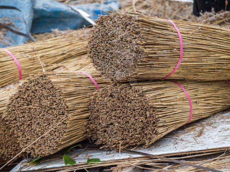 Build Material Reed Tied Industry Stock Image Image of recovering