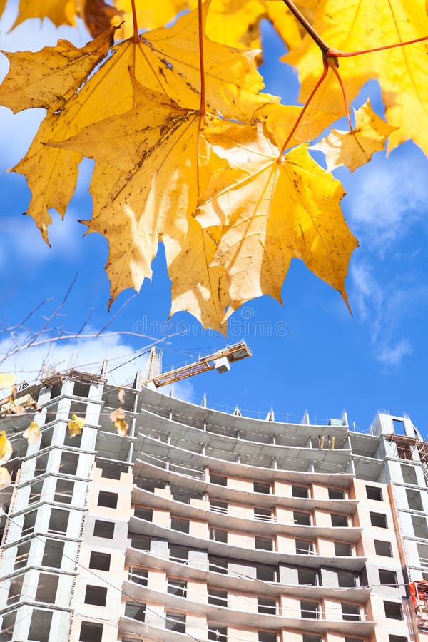 Building ander construction with yellow maples and blue sky All parts focus