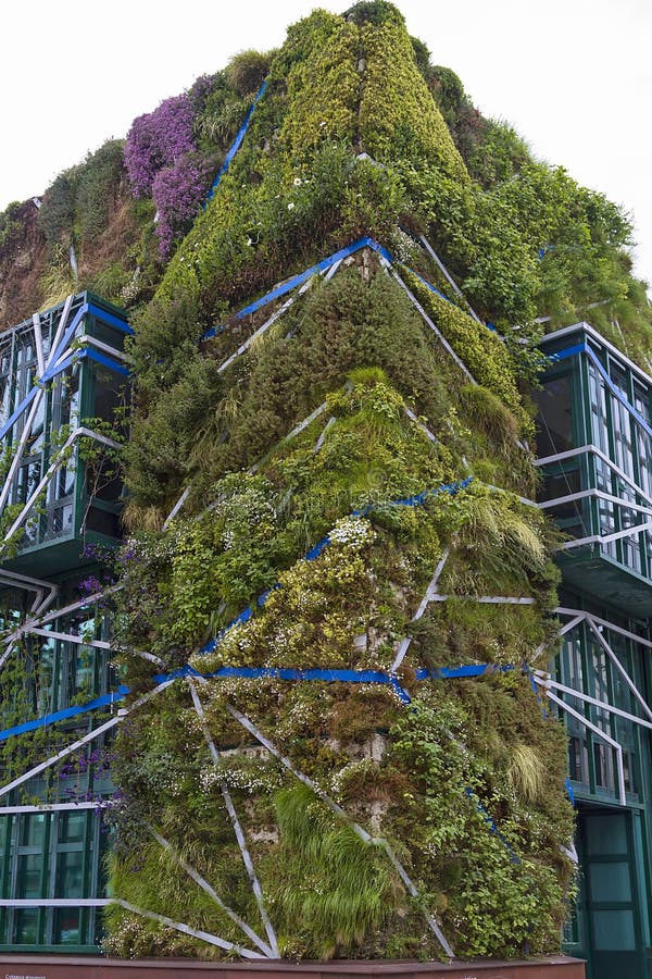 Vertical garden