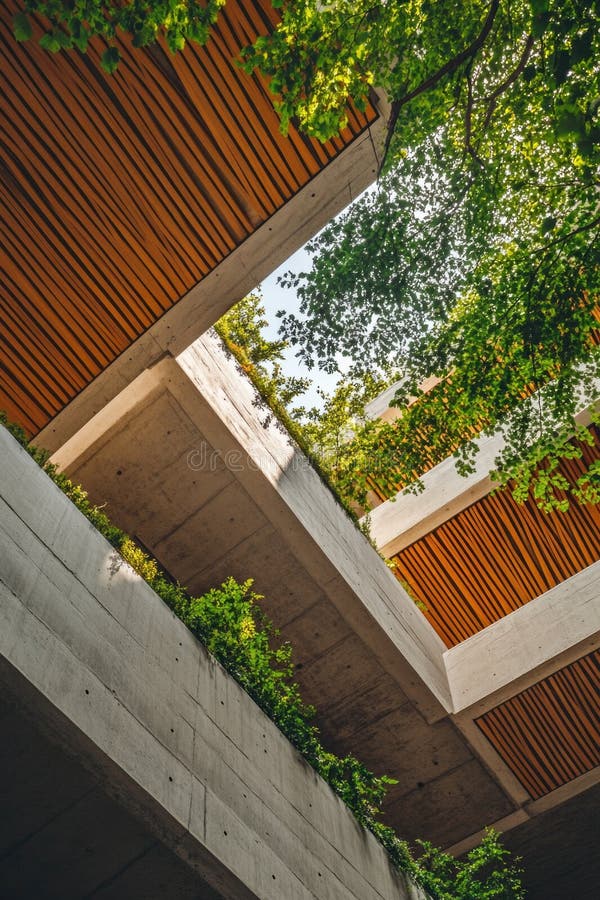 Building facade from below with tree royalty free stock photography