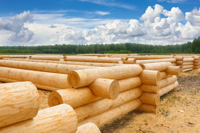 Building a House from Wooden Logs Stock Photo Image of development