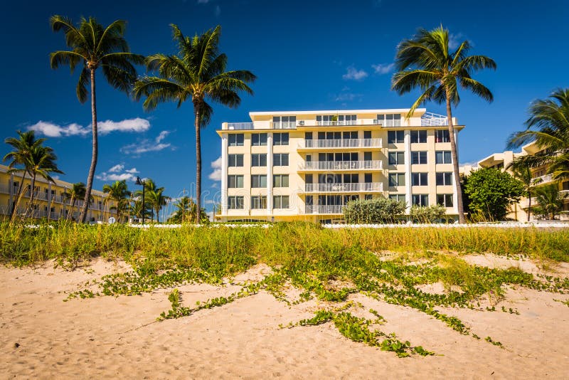 Building and palm trees along the beach in Palm Beach, Florida. stock photo
