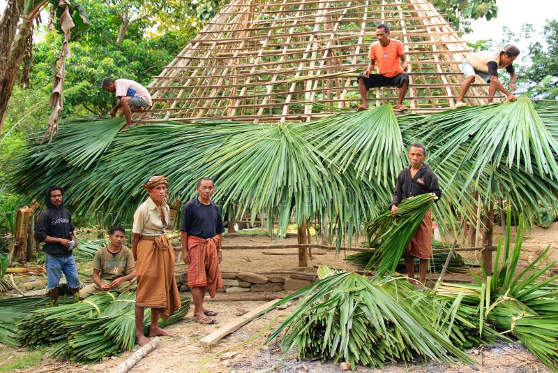 Building a traditional hut in West Timor