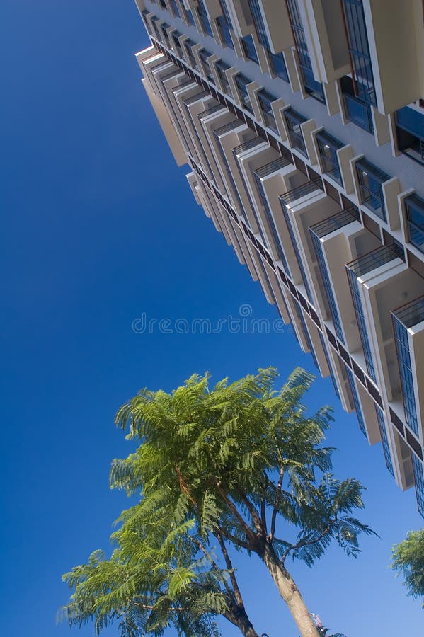 Building and tree royalty free stock photos