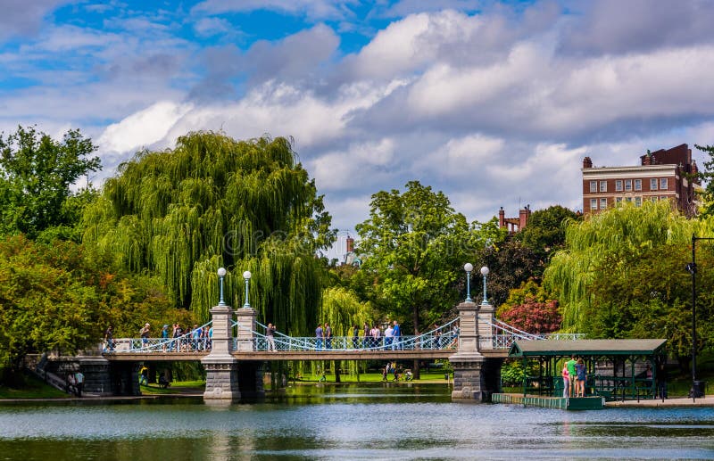 Buildings and bridge over a pond in the Boston Public Garden.