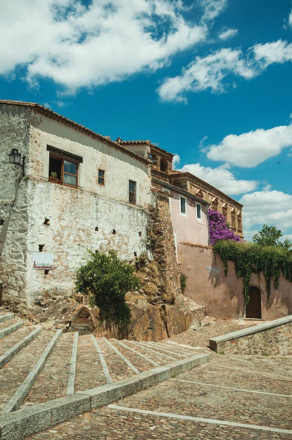 Buildings and flowering trees over a stairway with cobblestone at Caceres stock image Buildings and flowering trees over a stairway with cobblestone at Caceres stock image