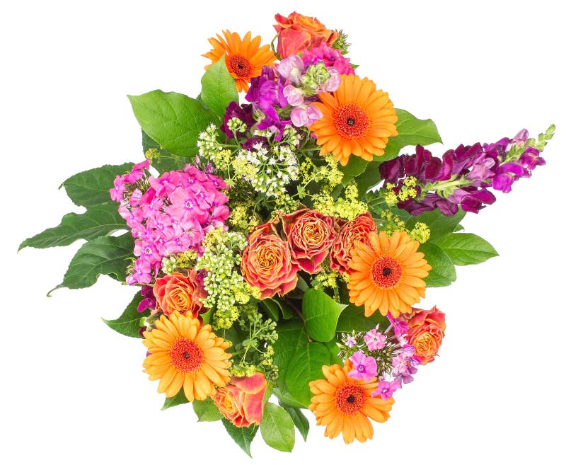 Bukett av blommor som isoleras på vit royaltyfri bild