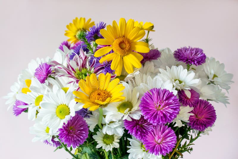 Bukett av de härliga blommorna på den rosa bakgrunden arkivfoto Bukett av de härliga blommorna på den rosa bakgrunden arkivfoto