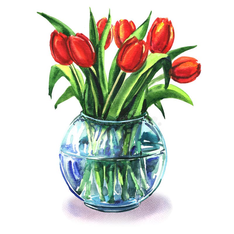 Bukett av härliga röda tulpan i den isolerade glass vasen, vattenfärgillustration stock illustrationer