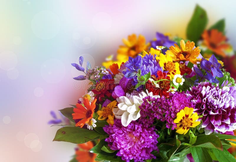 Bukett av ljusa färgrika blommor arkivfoto