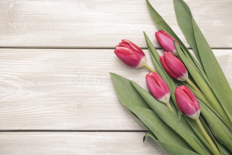 Bukett av tulpan på träbakgrund royaltyfri foto