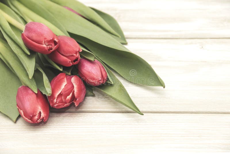 Bukett av tulpan på träbakgrund arkivbilder