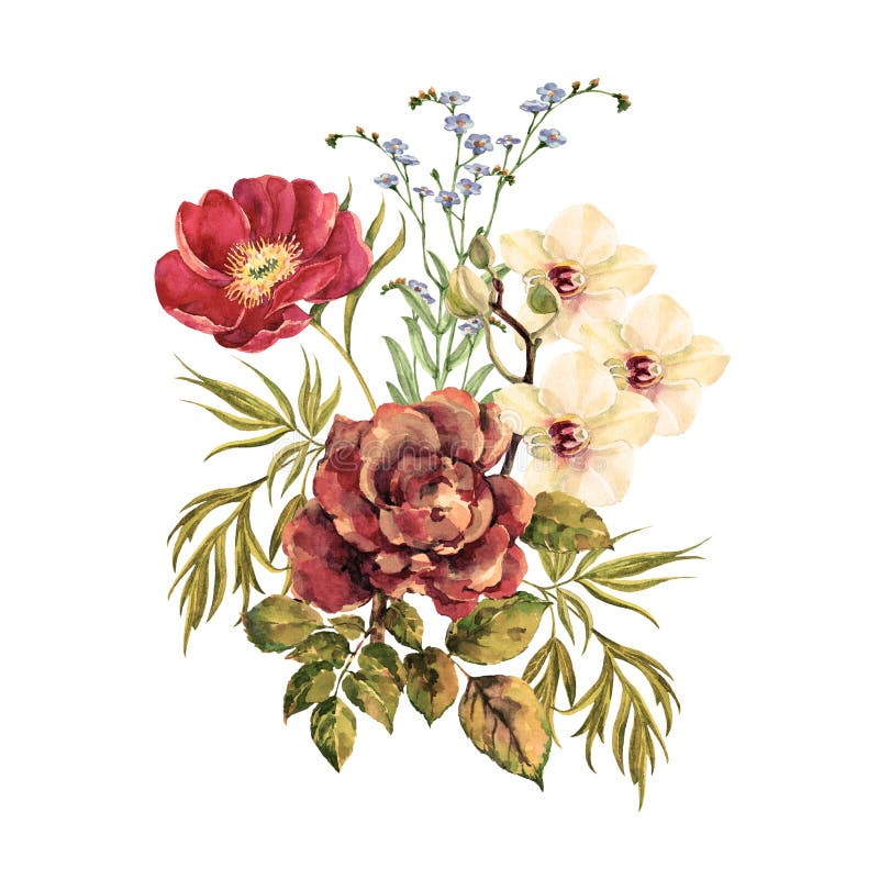 Bukettblommor steg med den vita orkidén och pionen av vattenfärgen royaltyfri illustrationer