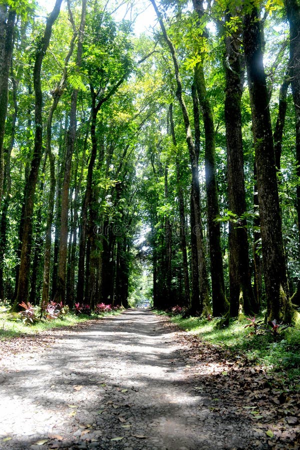Bukidnon tur royaltyfria foton Bukidnon tur royaltyfria foton