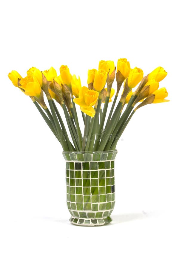 Bouquet of yellow lent lily (daffodil) isolated on white background. Bouquet of yellow lent lily (daffodil) isolated on white background