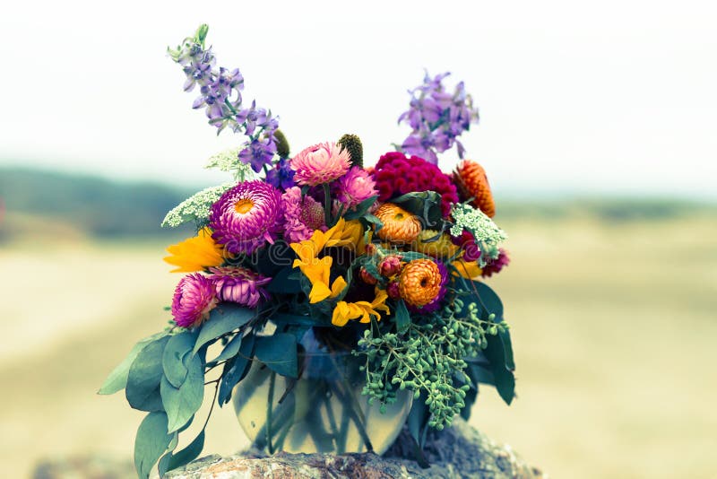 Bukiet kwiatków Chryzanthemums, Eucalyptus i Lavender Color Wildflowers na plaży w Half Moon Bay zdjęcie stock Bukiet kwiatków Chryzanthemums, Eucalyptus i Lavender Color Wildflowers na plaży w Half Moon Bay zdjęcie stock