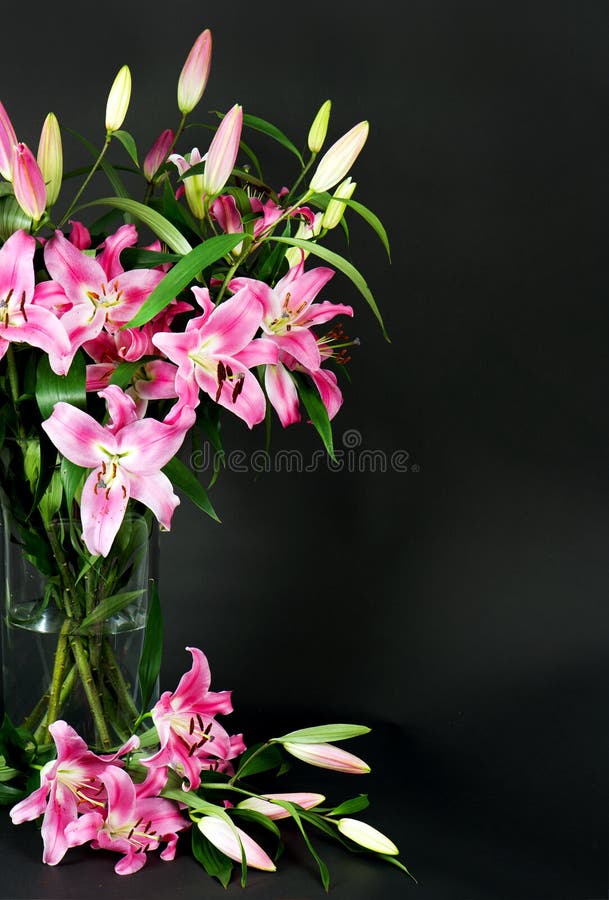 Lily flowers bouquet on black. Lily flowers bouquet on black