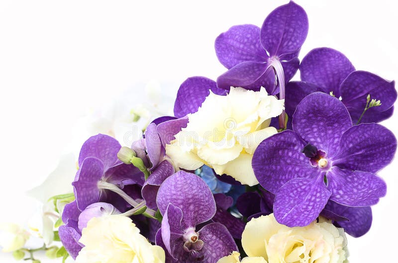 Bukiet z purpurowymi orchideami, róże, hortensja kwiat