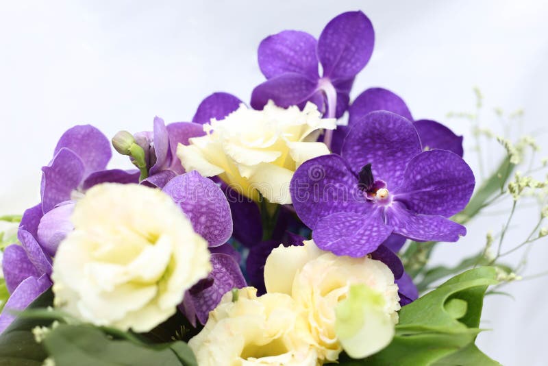 Bukiet z purpurowymi orchideami, róże, hortensja kwiat