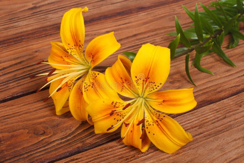 Bouquet of yellow lily flower on a brown wooden table. Bouquet of yellow lily flower on a brown wooden table