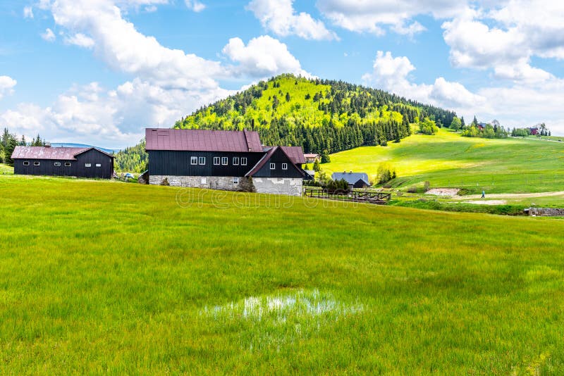 Bukovec Mountain Above Jizerka Village. Summer Landscape with Green ...