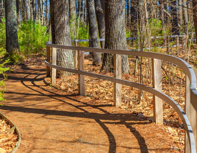 Buktigt staket på spolning av Forest Path arkivfoto Buktigt staket på spolning av Forest Path arkivfoto