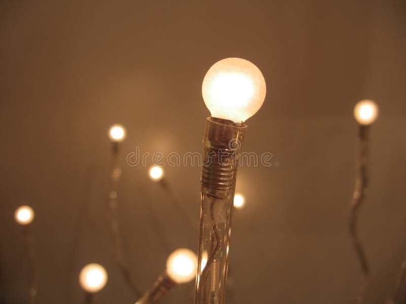 Bulb