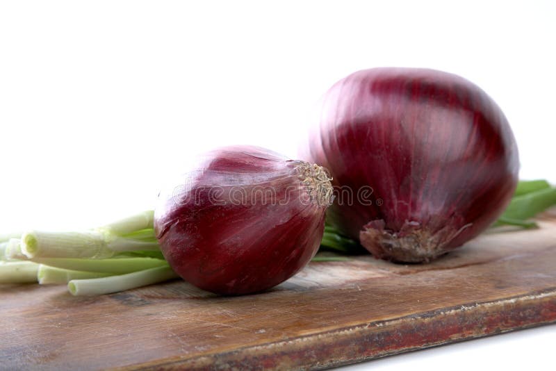 Bulb and green onion stock photo. Image of bulb, taste 13510330