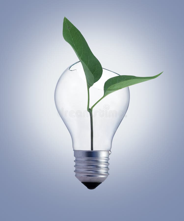 Bulb with green plant