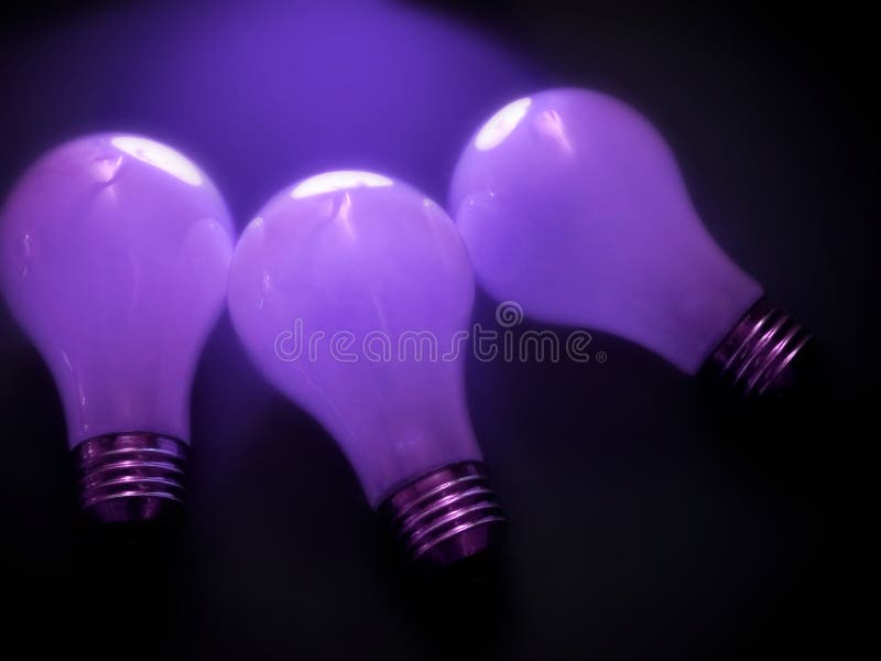 Bulbs 3 Picture. Image 30177