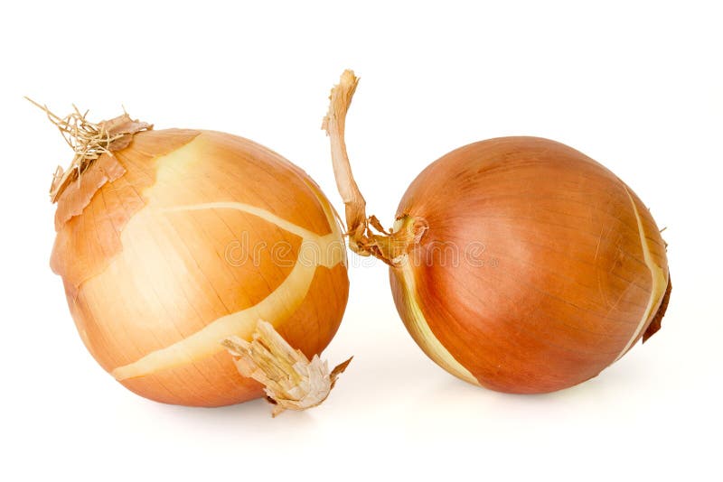 Bulbs of onion stock photo. Image of yellow, vegetable 28890426