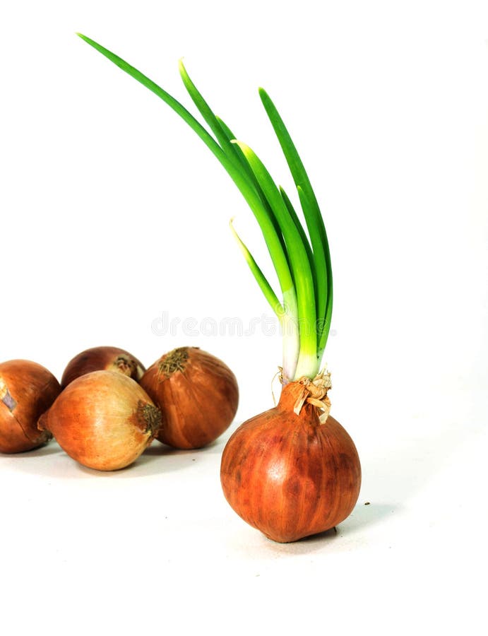 Bulbs of red onion stock photo. Image of group, fresh 35924682
