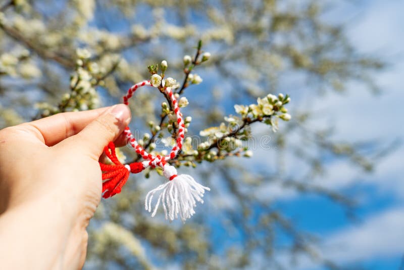 Different bulgarian martenitsa on blossoming tree White and red bulgarian martenitsa  bracelets hanging on the branch of  CanStock
