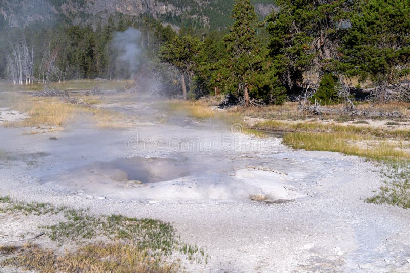 Bulger Geyser in Yellowstone National Park Stock Photo Image of caldera, tourism 230779438