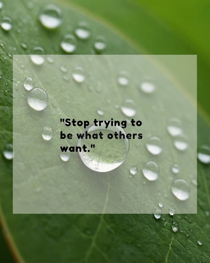 Dewy Green Leaf with Stop Trying to Be What Others Want Quote for Serenity Motivational Art stock illustration