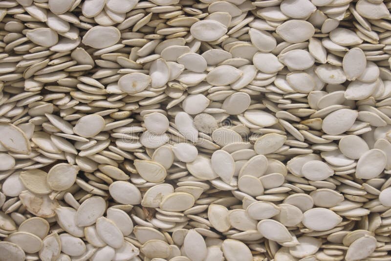Bulk Raw Pumpkin Seeds. Background of Pumpkin Seeds. Stock Image