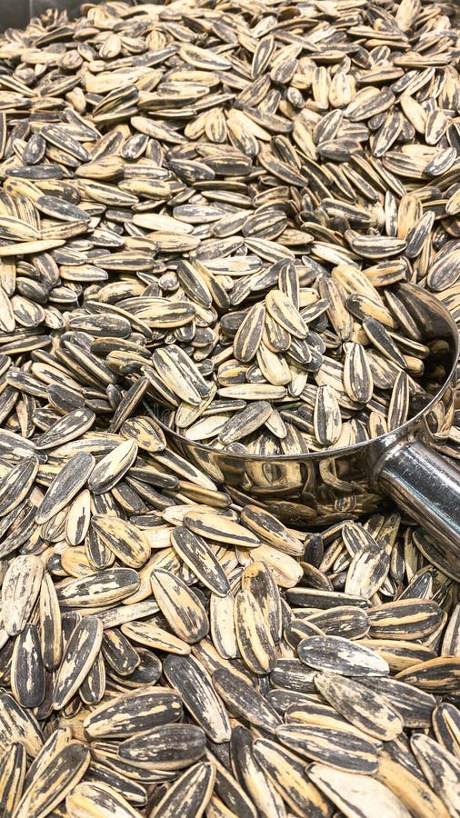 Bulk Sunflower Seeds in the Supermarket Stock Photo Image of seed