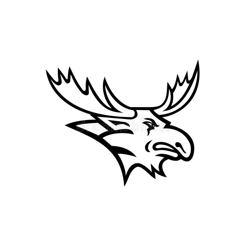 Bull Moose Head Stock Illustrations – 844 Bull Moose Head Stock