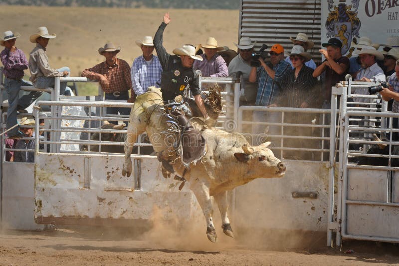 Bull Rider Gets Airborne