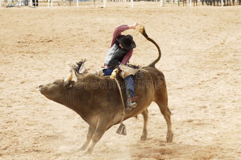Bull Riding 2