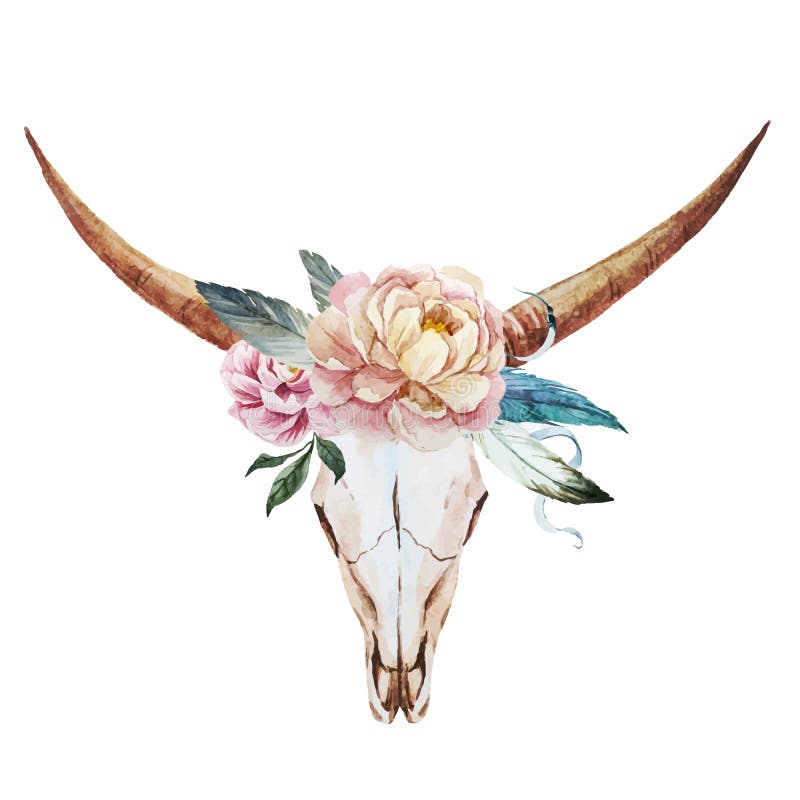 Bull skull watercolor stock illustration Bull skull watercolor stock illustration