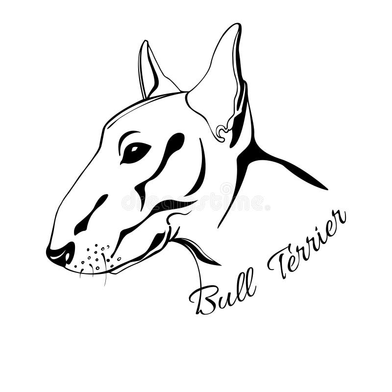 Bull Terrier dog head stock vector. Illustration of head